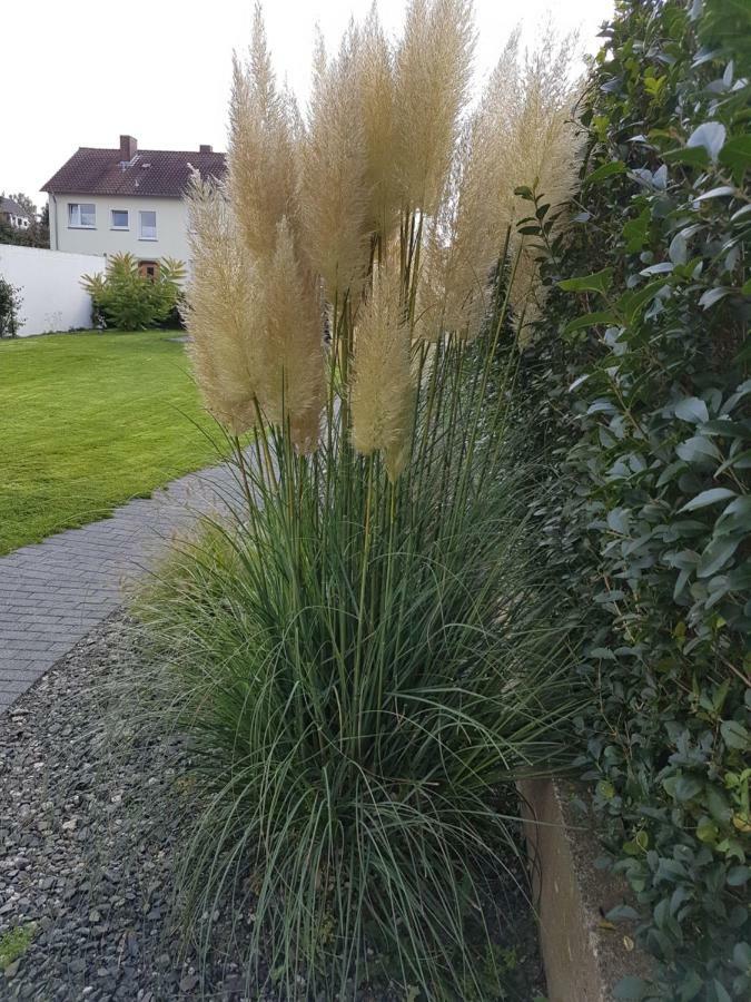 Pension Harleshausen Kassel Exterior foto